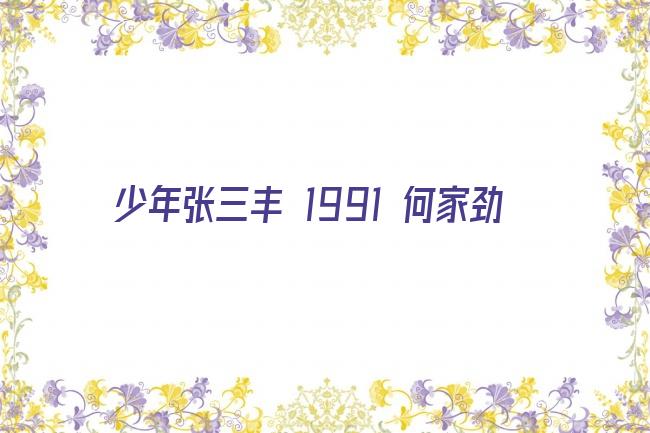 少年张三丰 1991 何家劲剧照